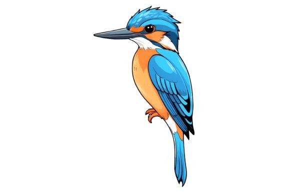 Download Kingfisher Bird Illustration Png - Png Collection