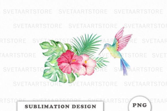 Download Watercolor Tropic Hummingbird Png - Png Collection