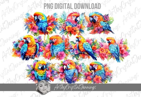 Download Colorful Tropical Parrot Bird Design PNG - Png Collection