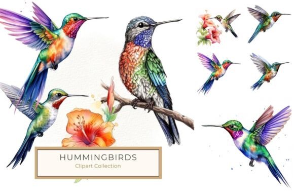 Download Vibrant Watercolor Hummingbird Clipart - Vibrant Collection