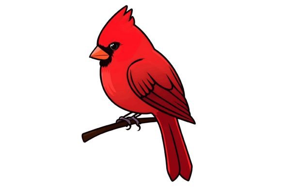 Download Cardinal Bird Illustration Png - Png Collection