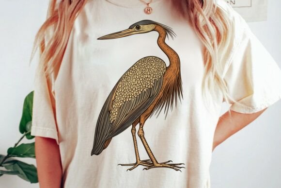 Download Vintage Heron Bird Illustration Png - Png Collection